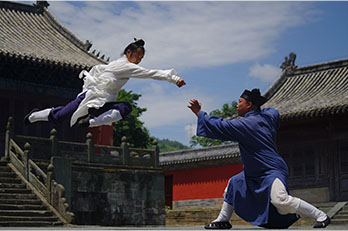 武(太极，养生心法、功法、技法等)